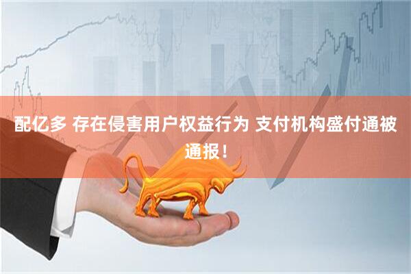 配亿多 存在侵害用户权益行为 支付机构盛付通被通报！