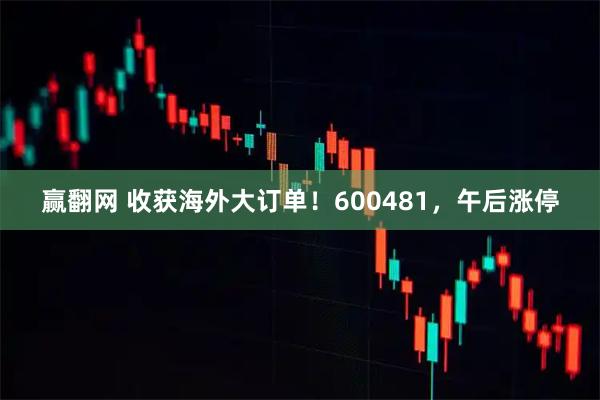 赢翻网 收获海外大订单！600481，午后涨停